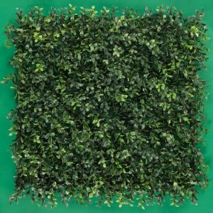 BoxWood
